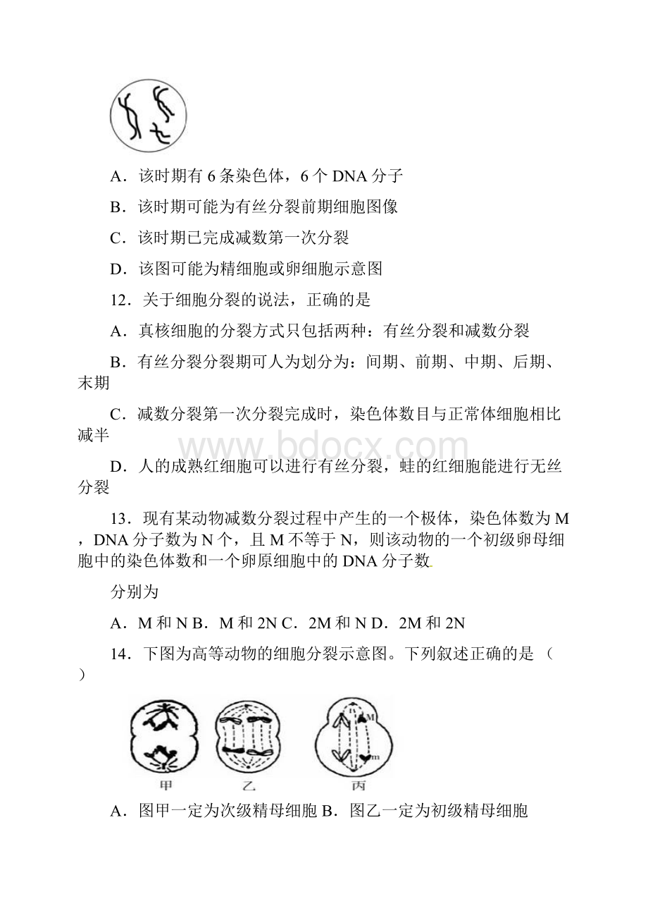 减数分裂题.docx_第3页