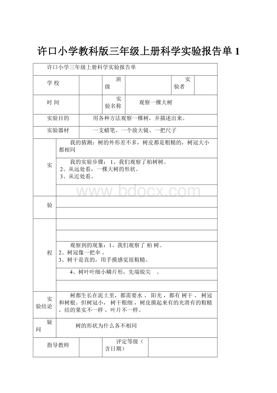 许口小学教科版三年级上册科学实验报告单1.docx_第1页