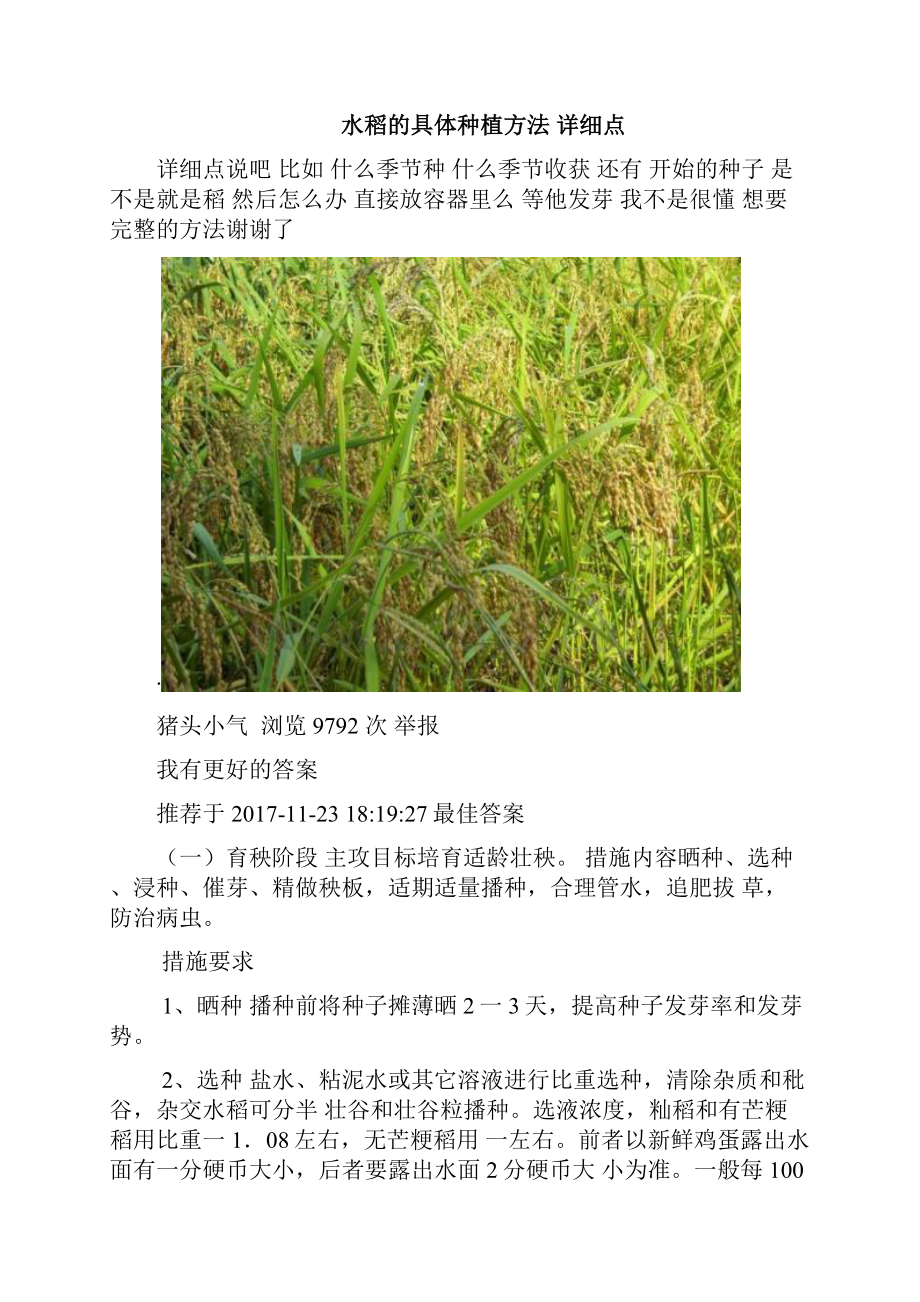 蔬菜种植技术.docx_第3页