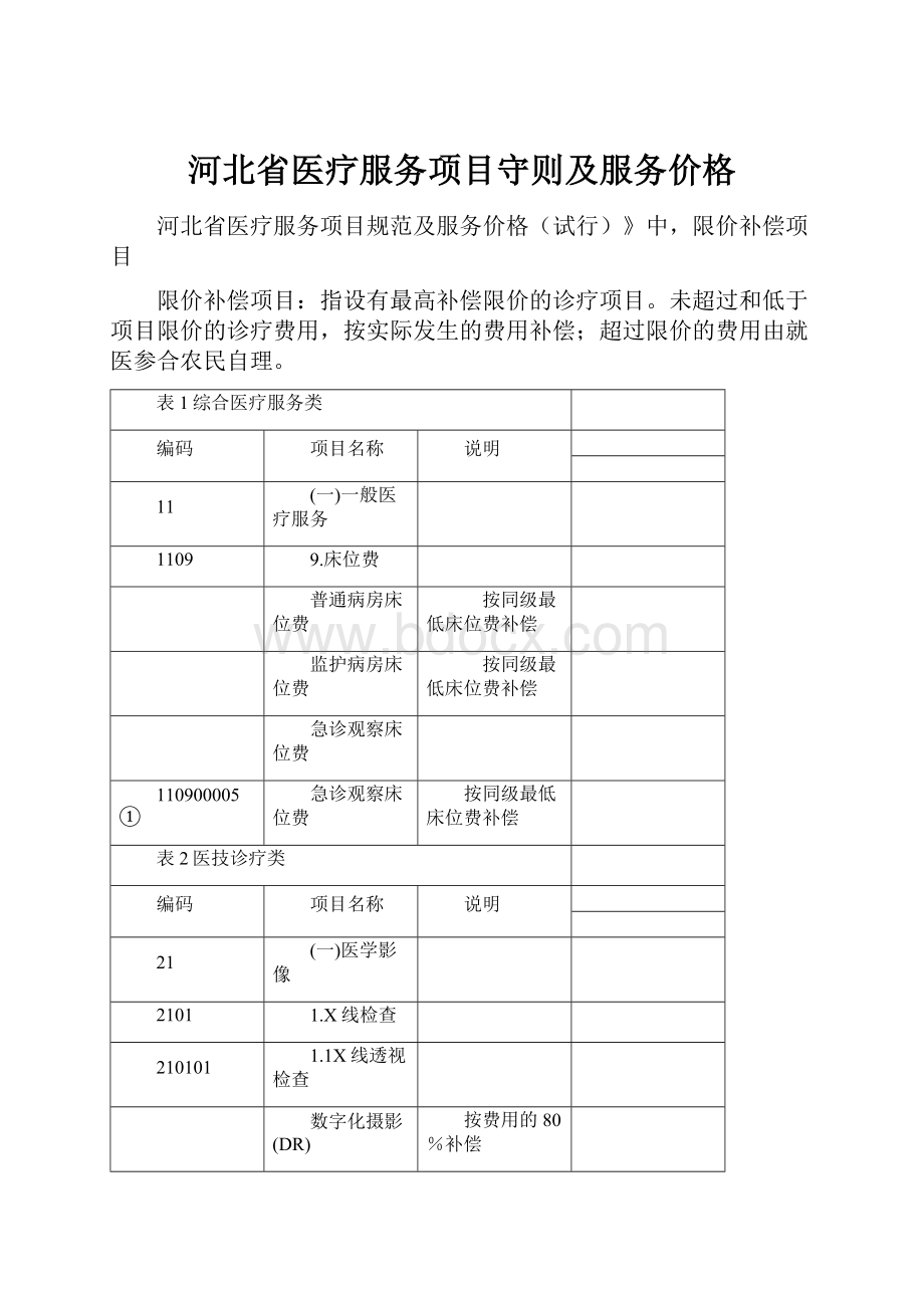 河北省医疗服务项目守则及服务价格.docx_第1页