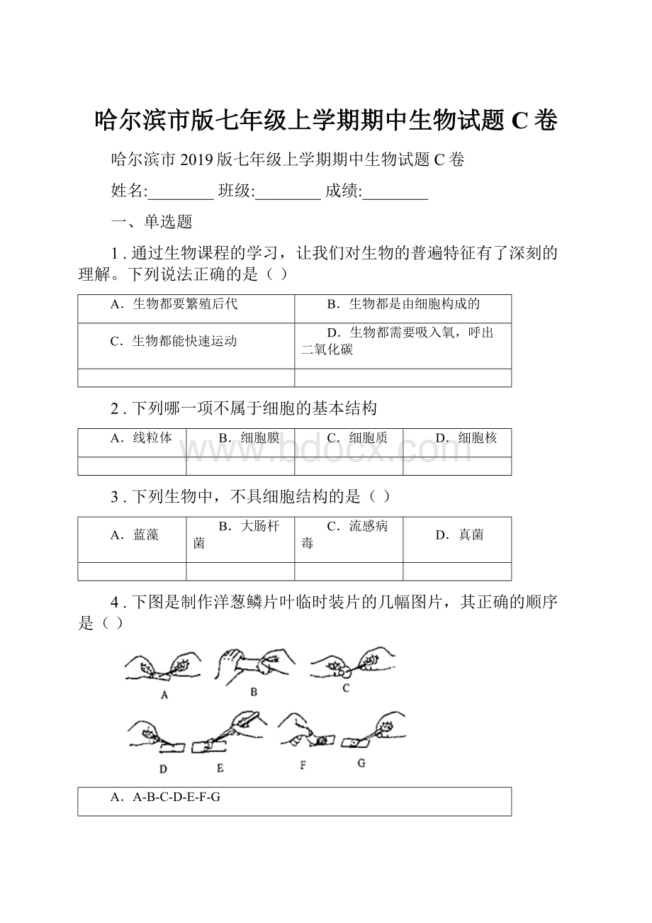 哈尔滨市版七年级上学期期中生物试题C卷.docx