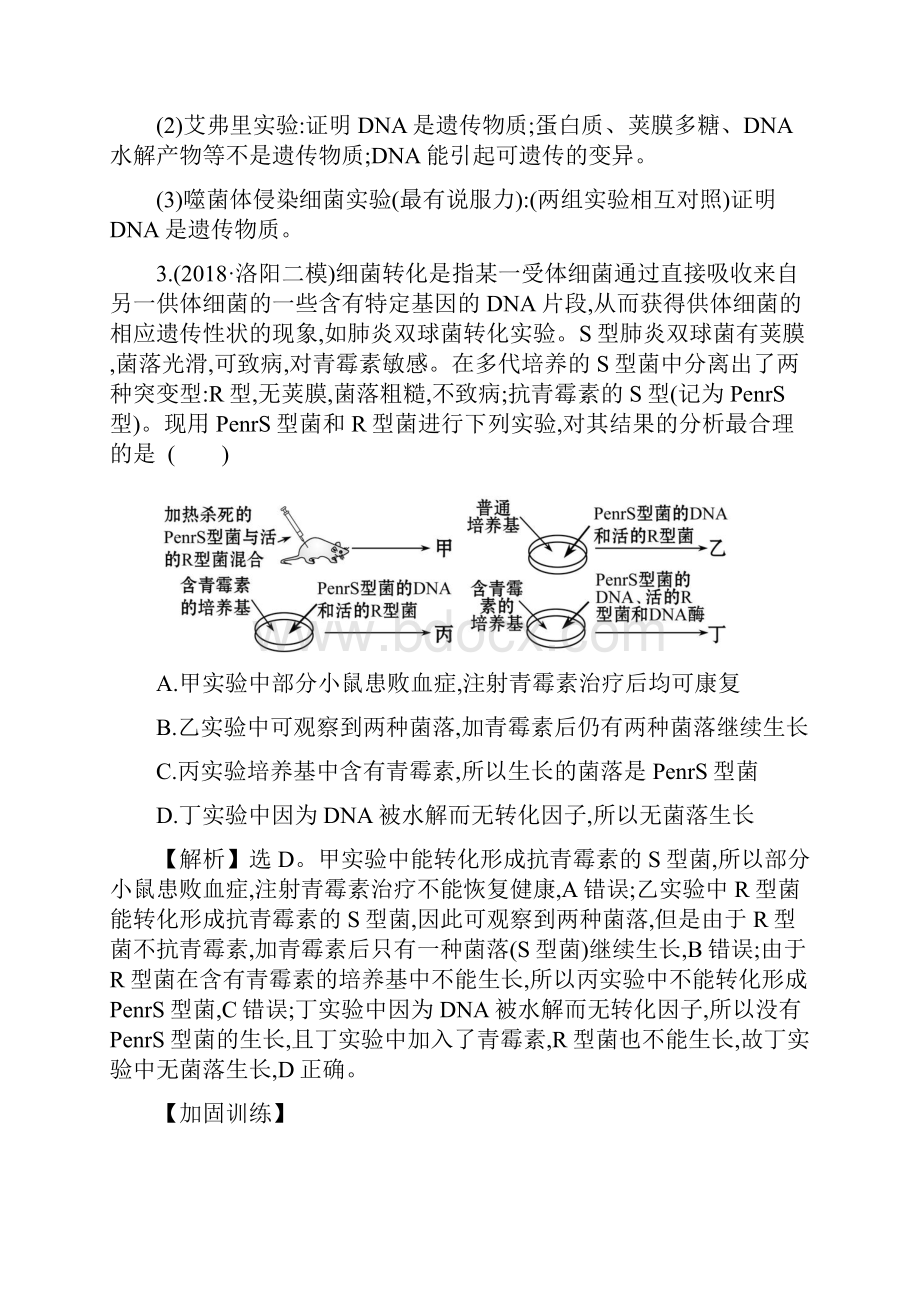 复习必备版高考生物二轮复习 专题五 遗传的分子基础专题能力提升练.docx_第2页