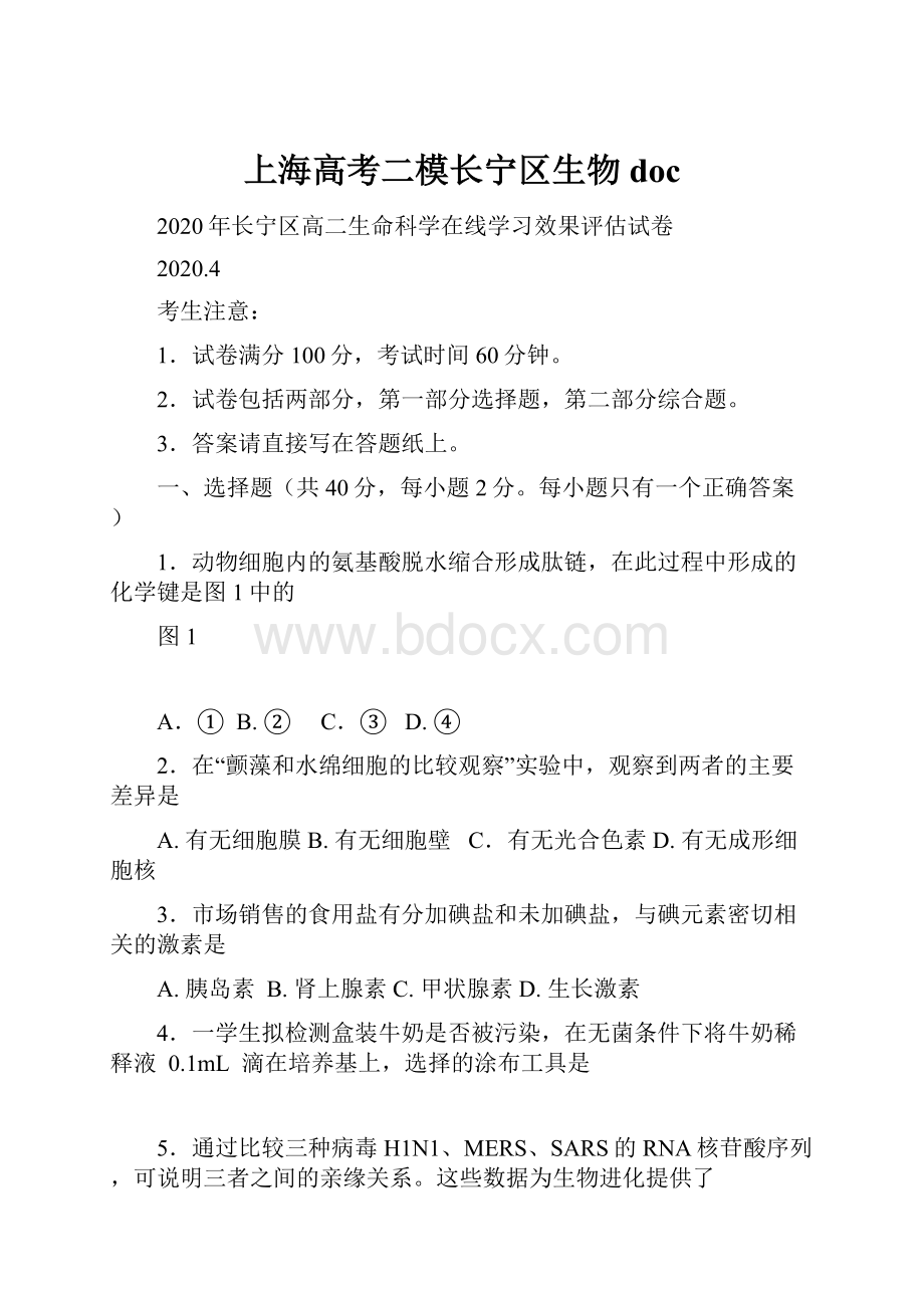 上海高考二模长宁区生物doc.docx