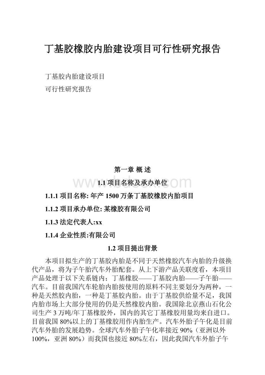 丁基胶橡胶内胎建设项目可行性研究报告.docx_第1页