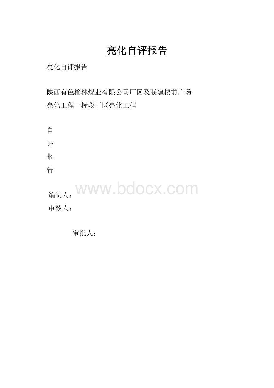 亮化自评报告.docx_第1页