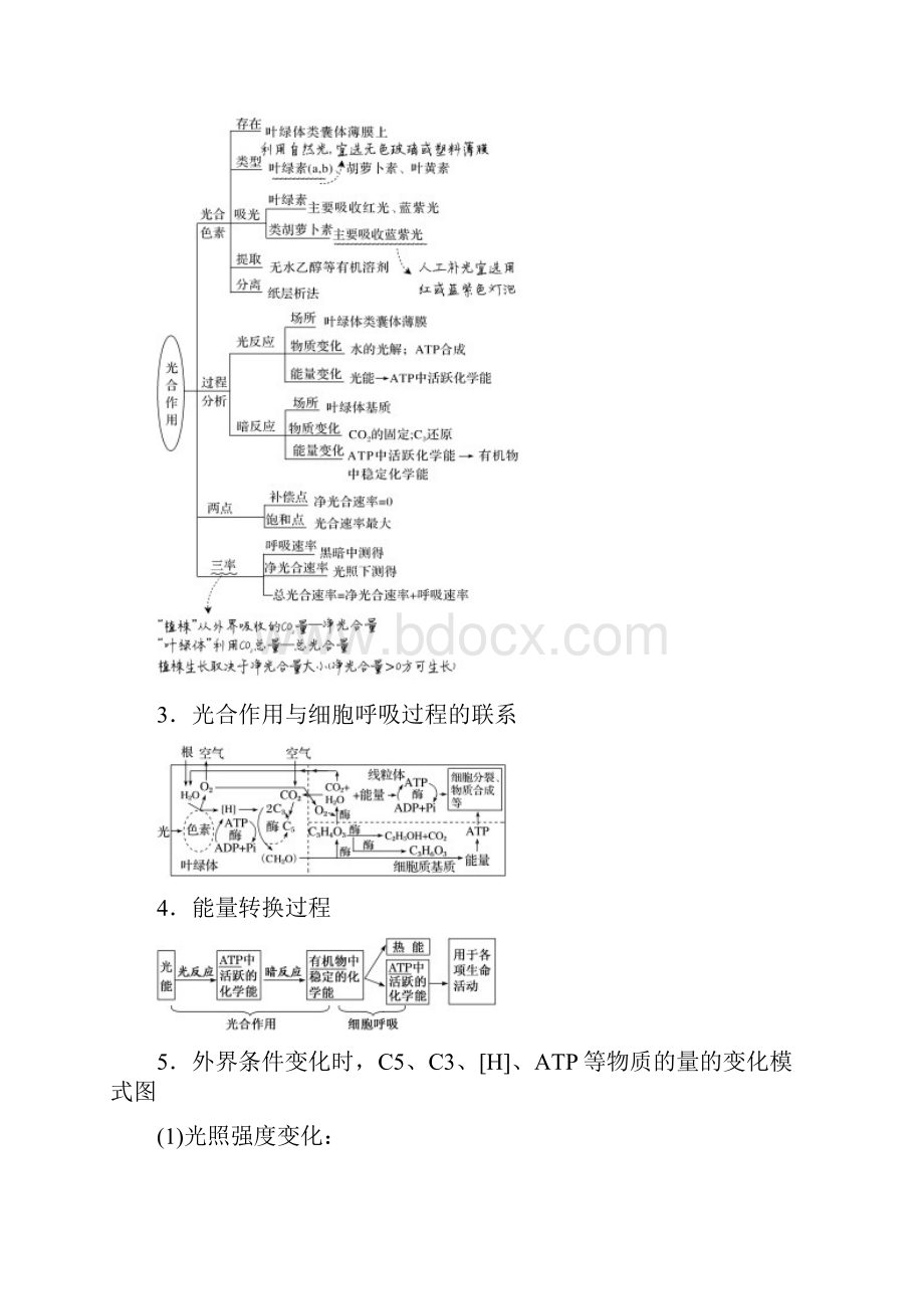 届高考生物二轮复习专题5光合作用与呼吸作用学案新人教版doc.docx_第3页