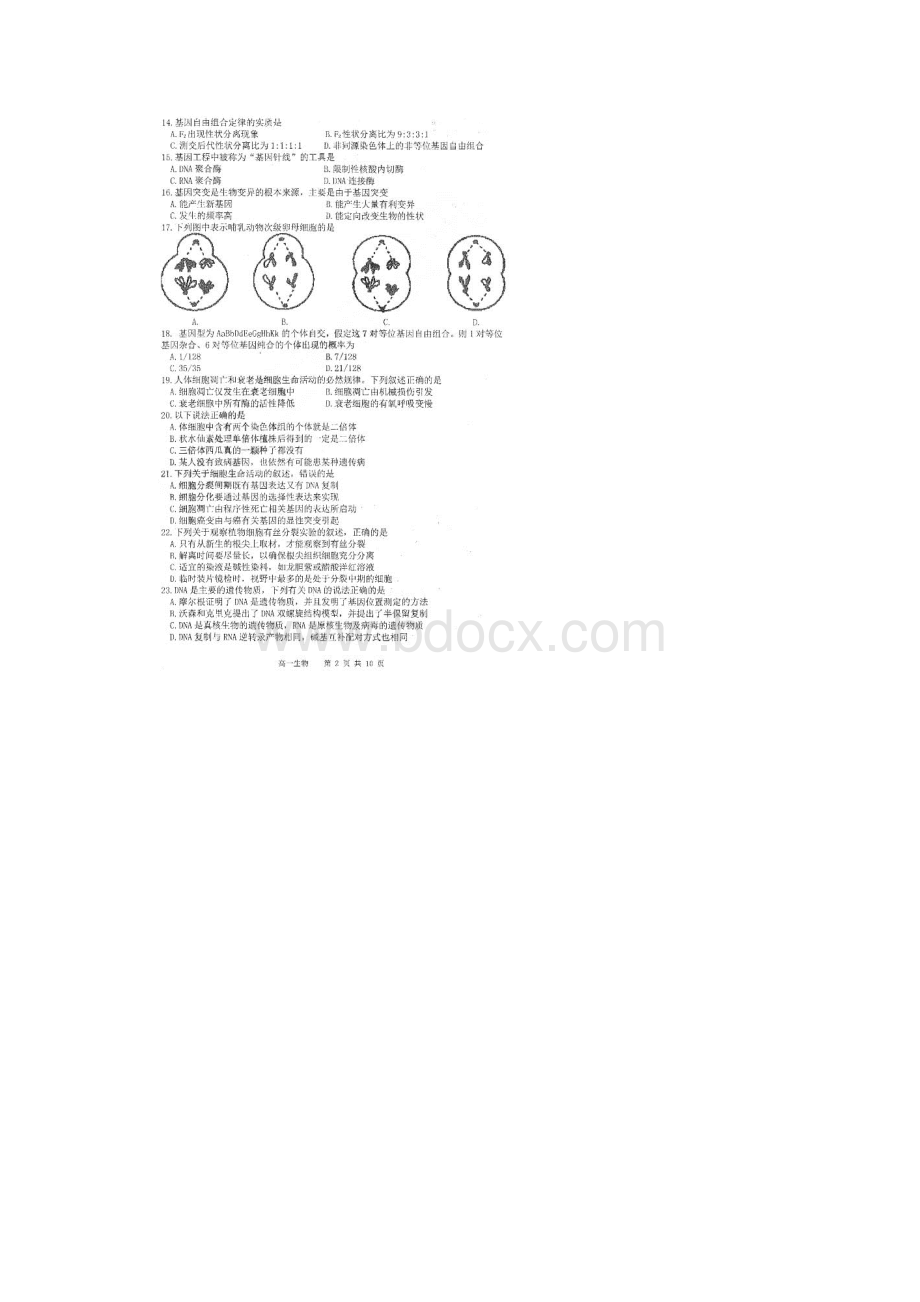 黑龙江省哈尔滨市第三中学学年高一生物下学期期末考试试题扫描版.docx_第2页