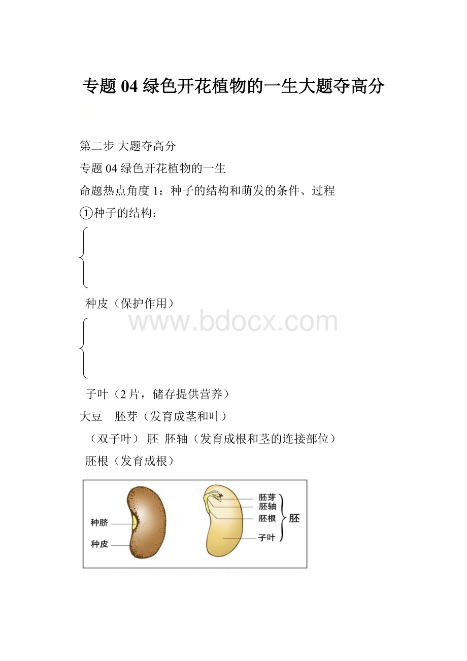 专题04 绿色开花植物的一生大题夺高分.docx