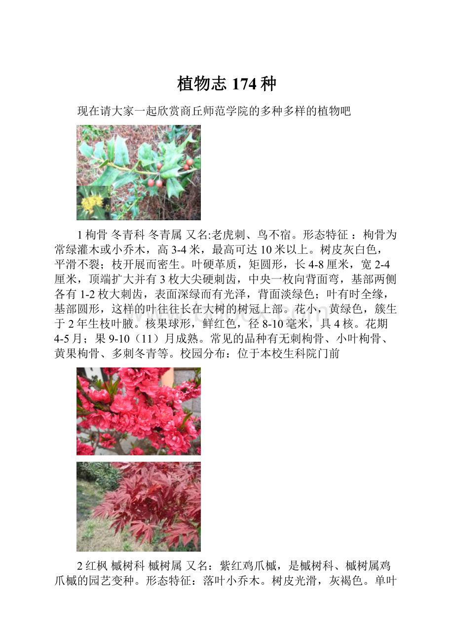 植物志 174种.docx