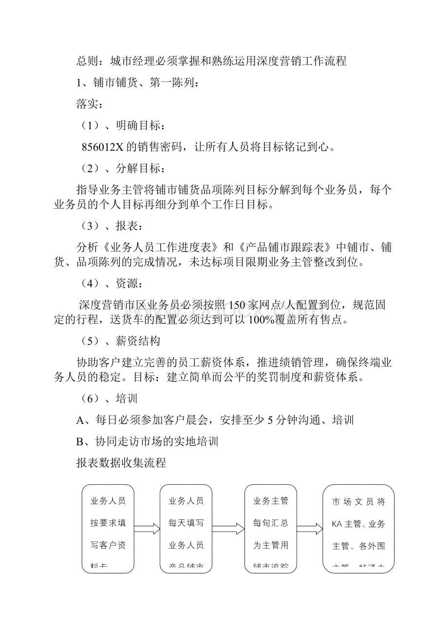 分销操作补货标准化流程.docx_第2页