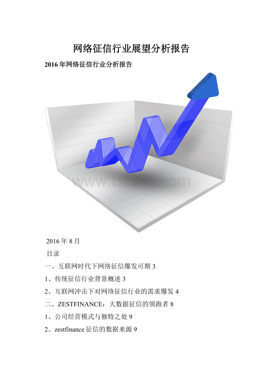 网络征信行业展望分析报告.docx