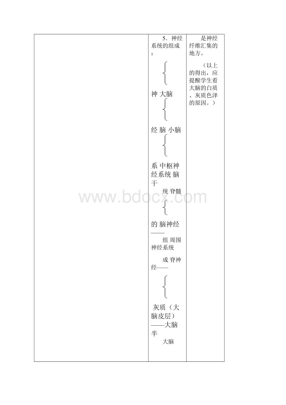 生物第15章第1节人体的神经调节 教案.docx_第3页