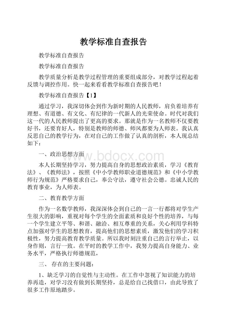 教学标准自查报告.docx_第1页