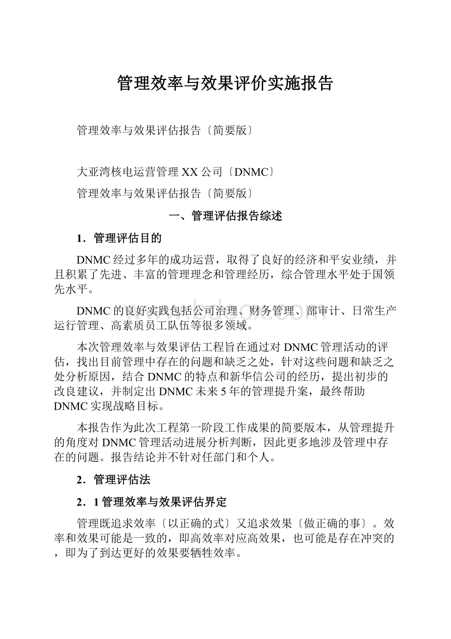 管理效率与效果评价实施报告.docx