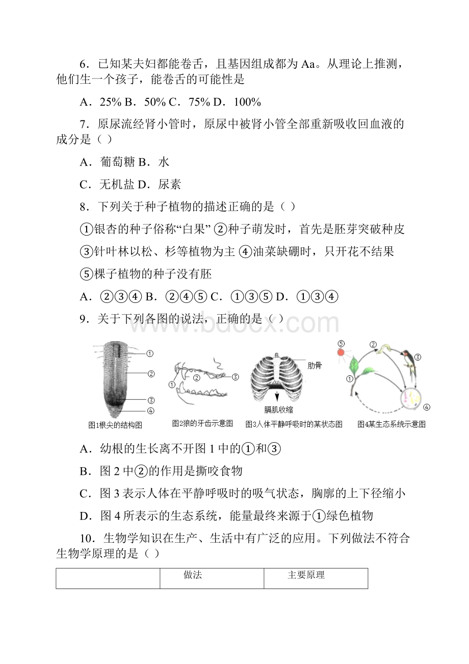 中考生物真题分类汇编综合试题及答案.docx_第3页