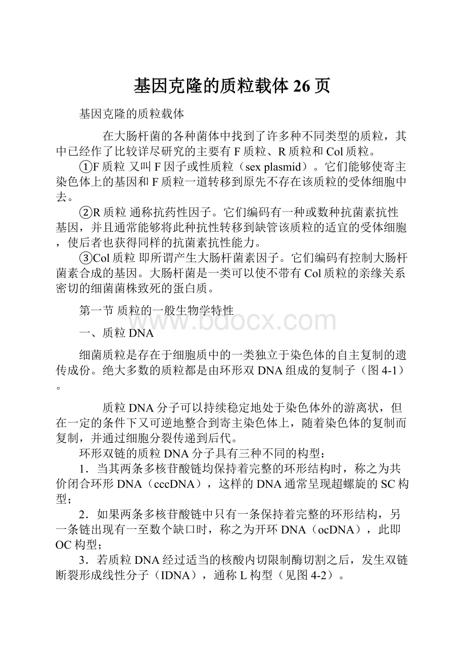 基因克隆的质粒载体26页.docx_第1页