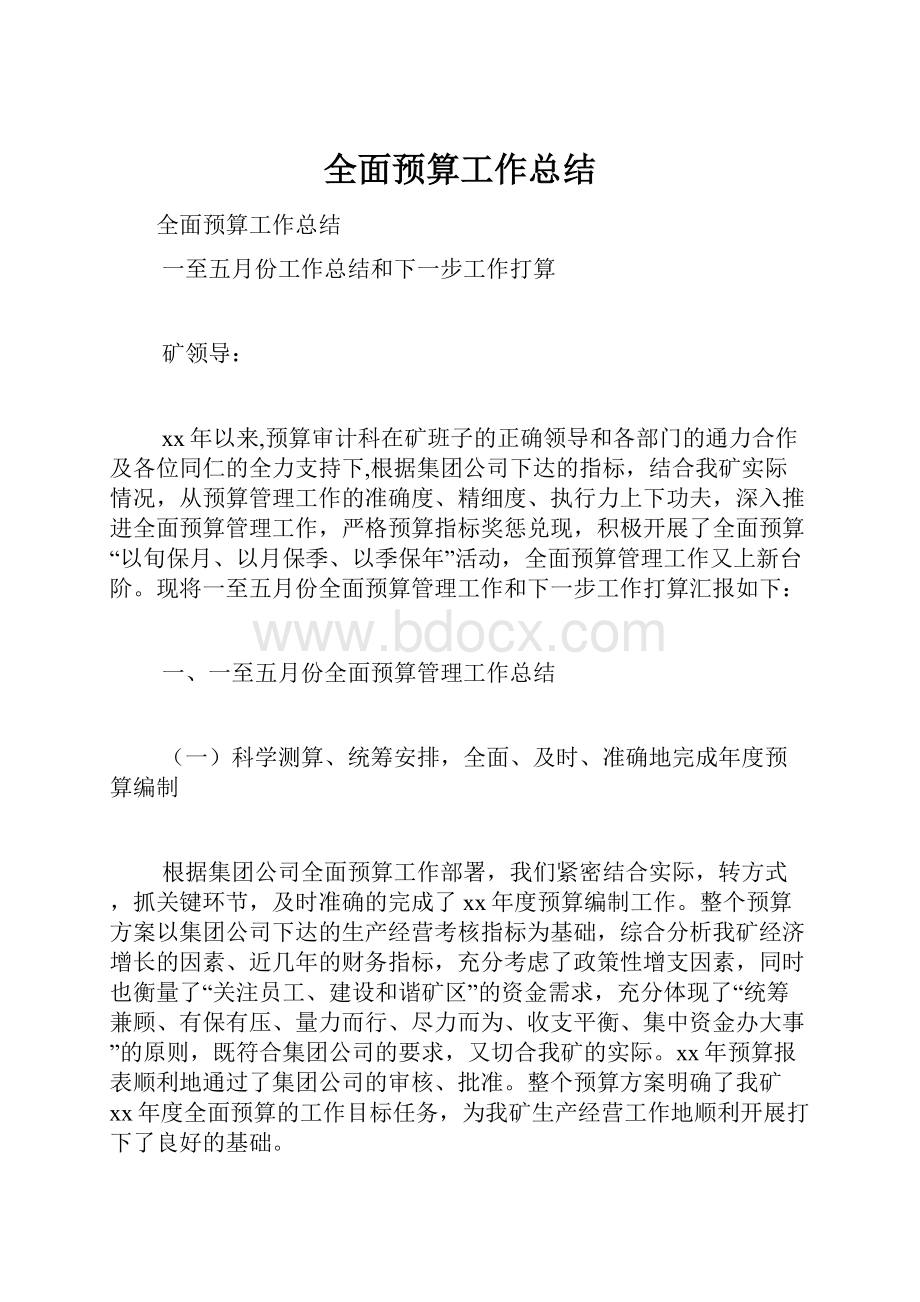 全面预算工作总结.docx