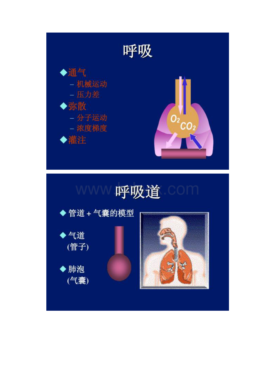 呼吸机波形及其临床意义精.docx_第3页