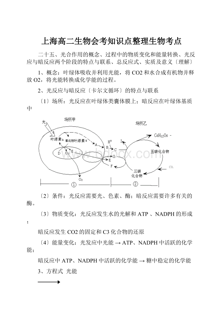 上海高二生物会考知识点整理生物考点.docx_第1页