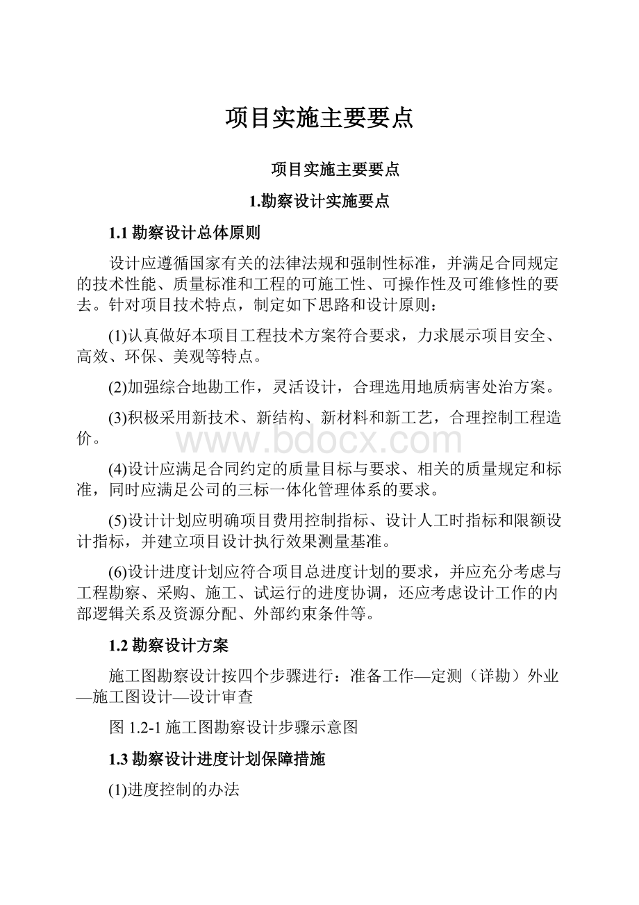 项目实施主要要点.docx_第1页