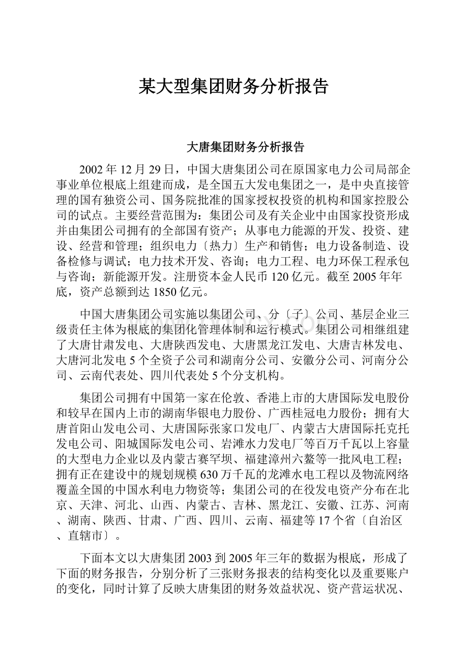 某大型集团财务分析报告.docx