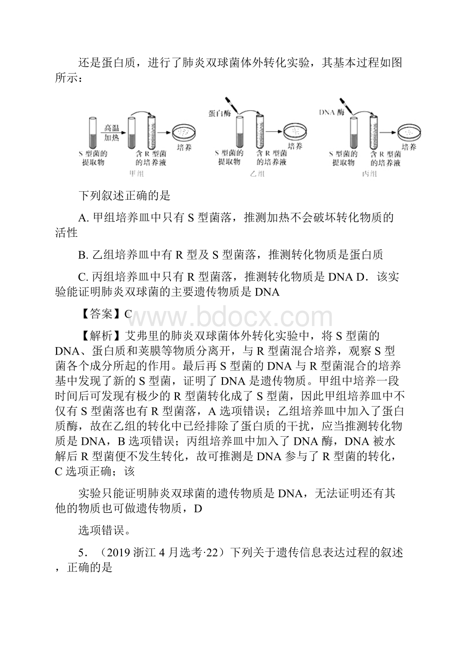 高考生物真题分类汇编版专题七遗传的分子基础与细胞基础.docx_第3页