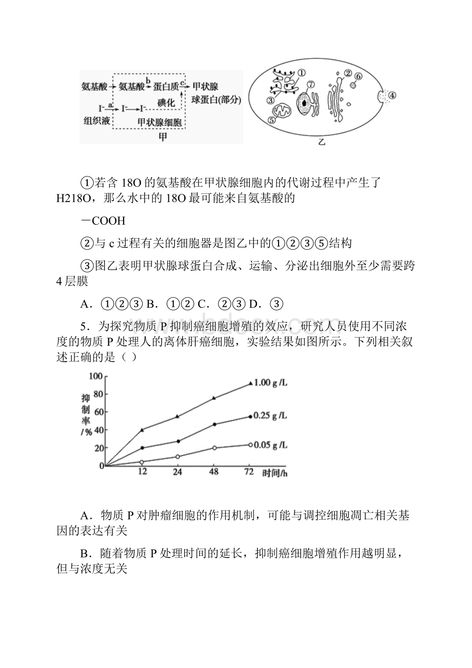 届湖南省长郡中学高三综合能力测试五生物试题及答案.docx_第3页