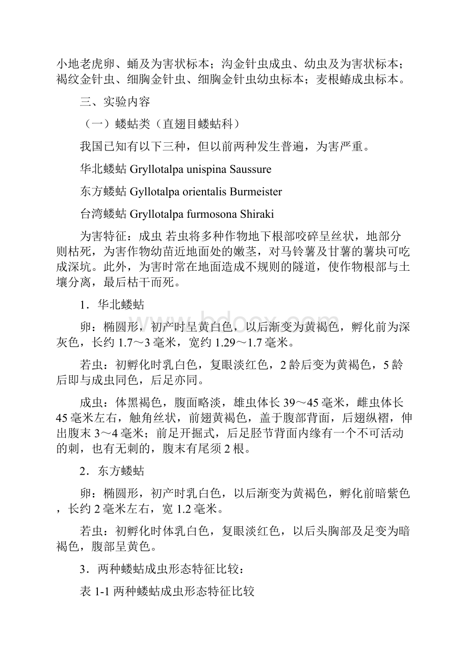 农业昆虫学实验课实验须知.docx_第3页