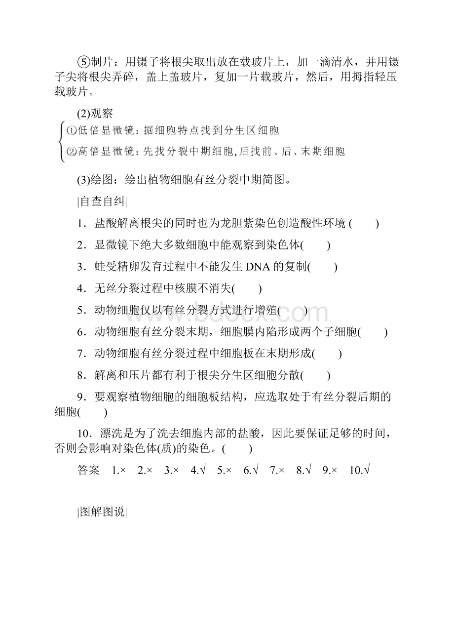 高中生物人教版高一必修一学案612动植物细胞有丝分裂的区别和相关曲线.docx_第3页