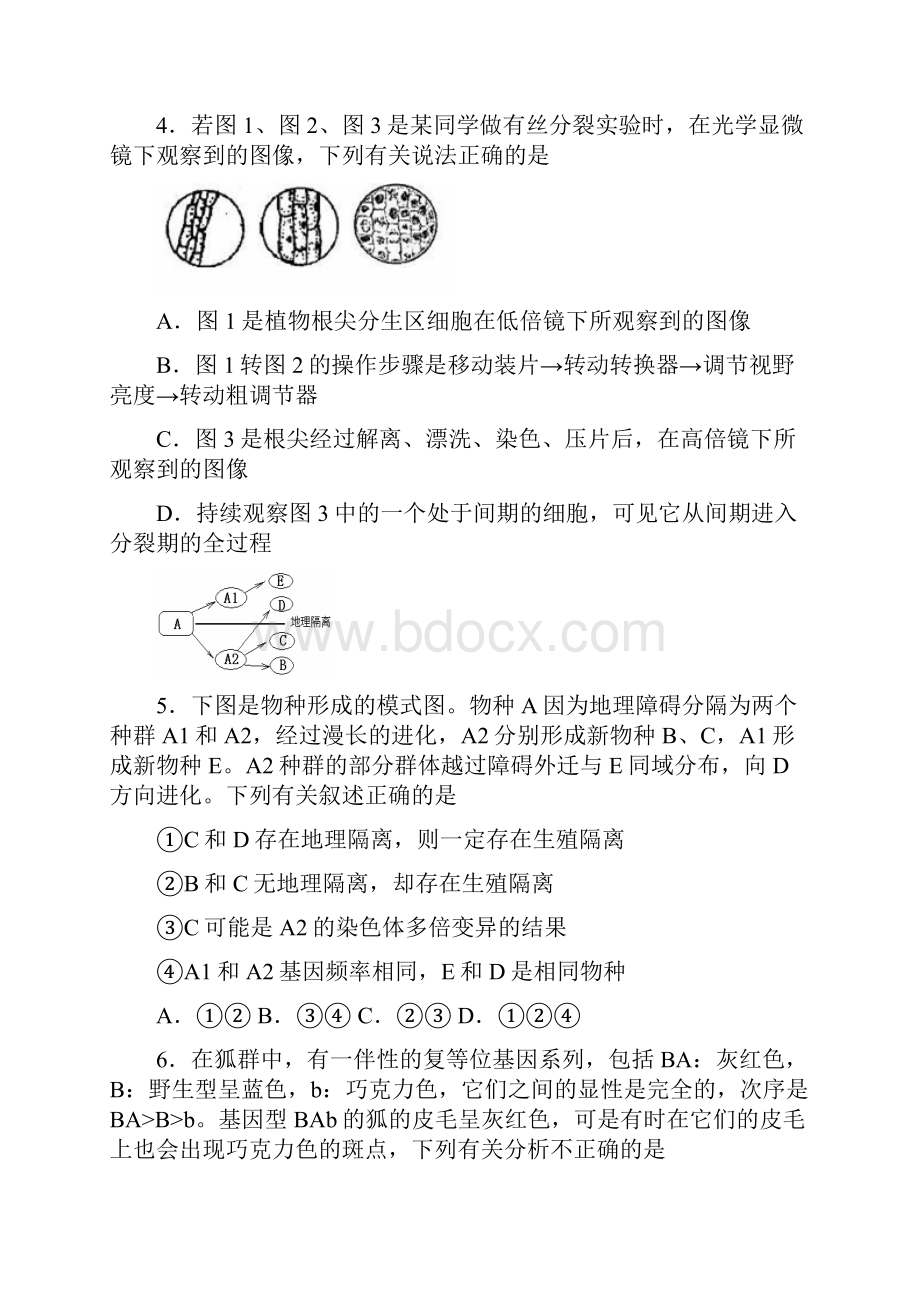 普通高等学校招生全国统一考试西工大附中第十一次适应性训练理综.docx_第2页