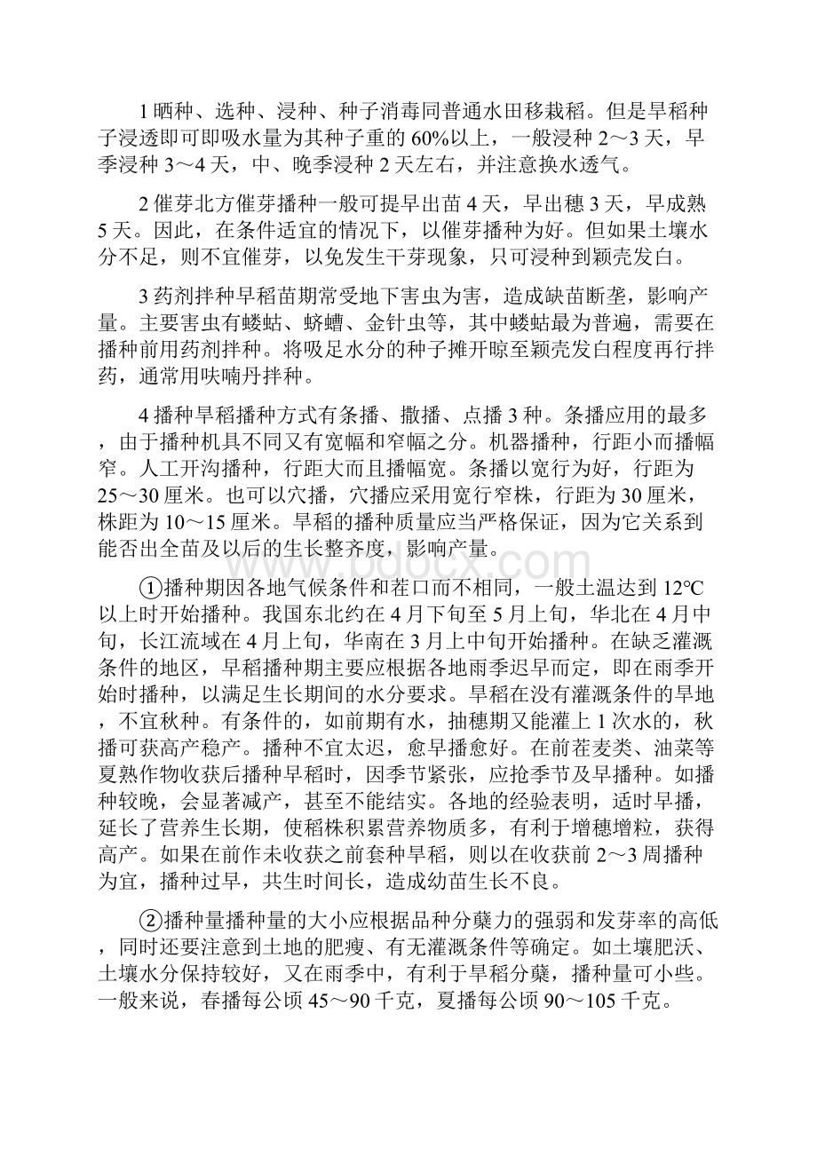 旱稻种植时如何处理种子的方法.docx_第2页