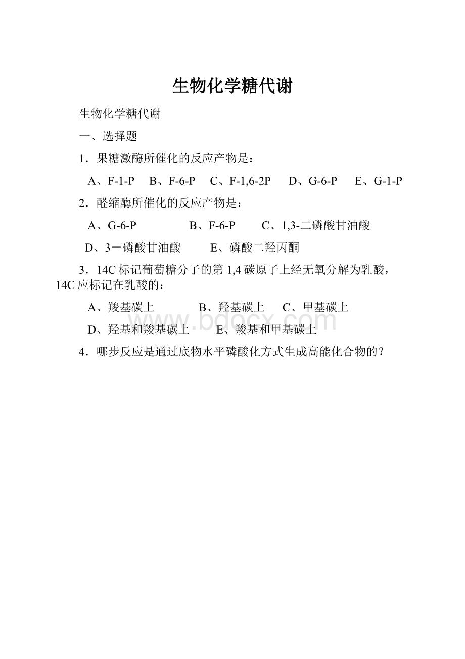 生物化学糖代谢.docx