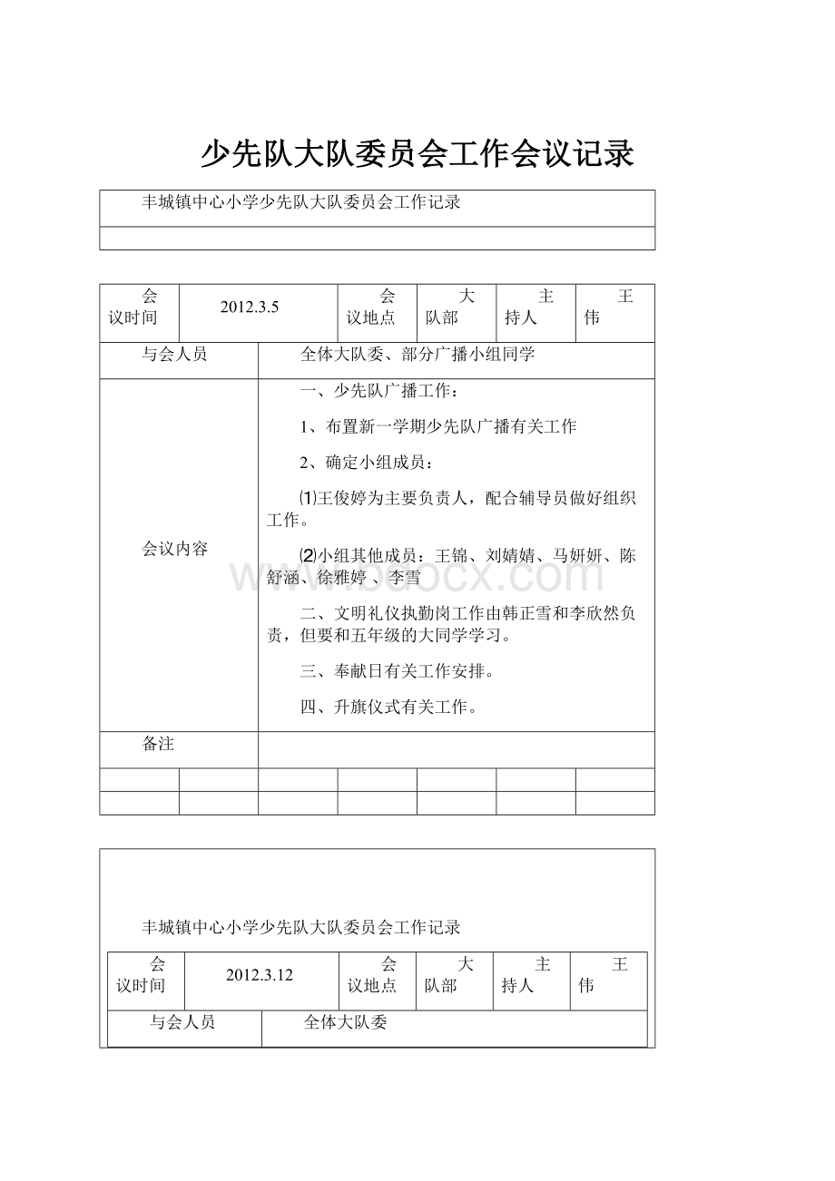 少先队大队委员会工作会议记录.docx