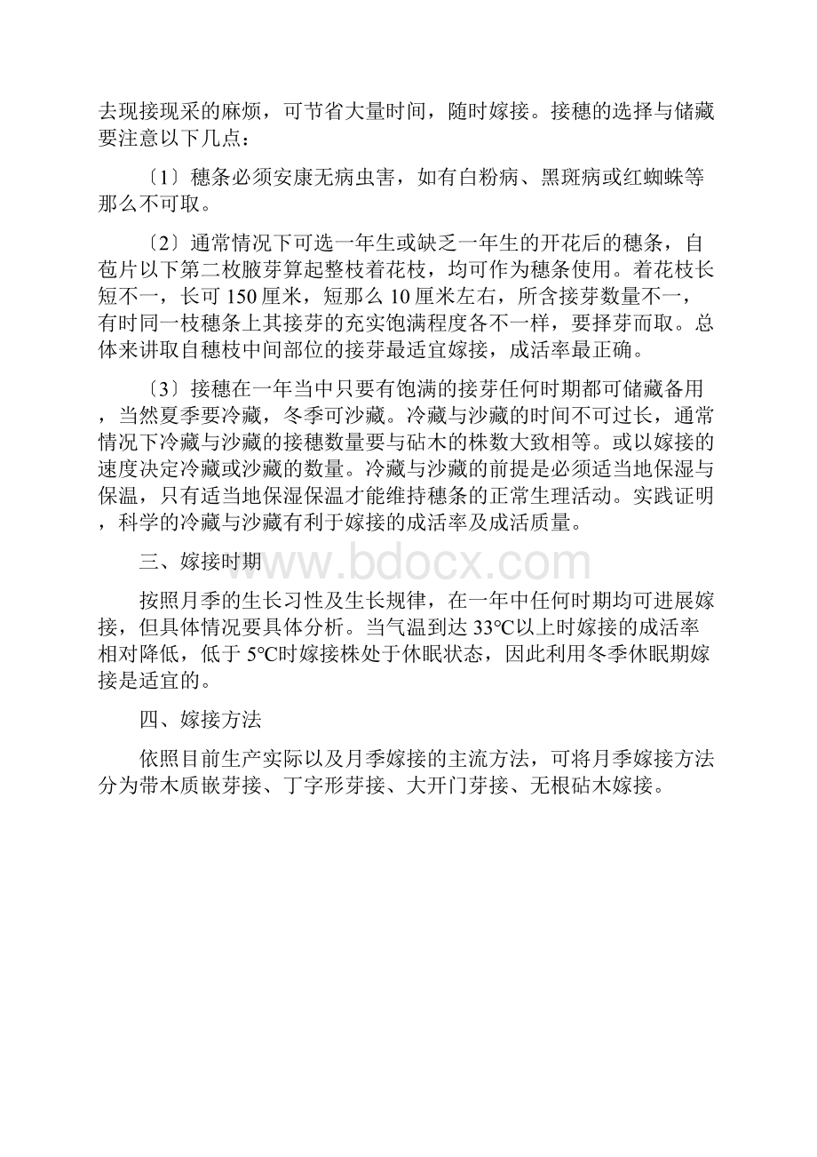 月季的4种嫁接方法图示超详细.docx_第3页