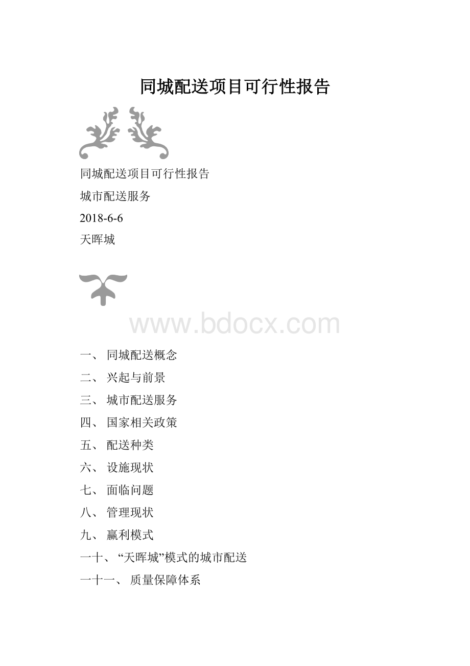 同城配送项目可行性报告.docx