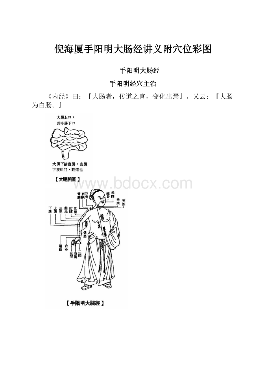 倪海厦手阳明大肠经讲义附穴位彩图.docx