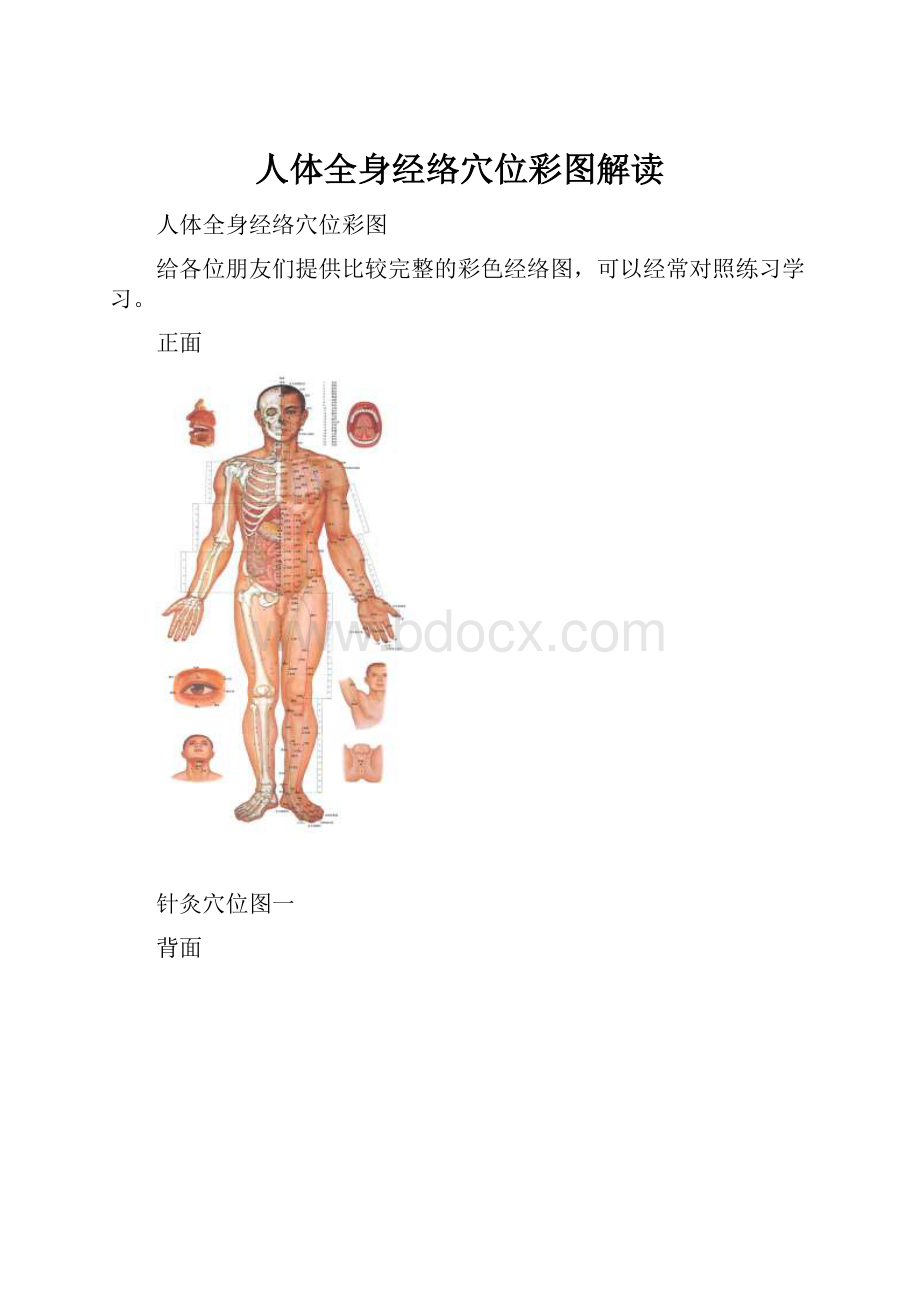 人体全身经络穴位彩图解读.docx