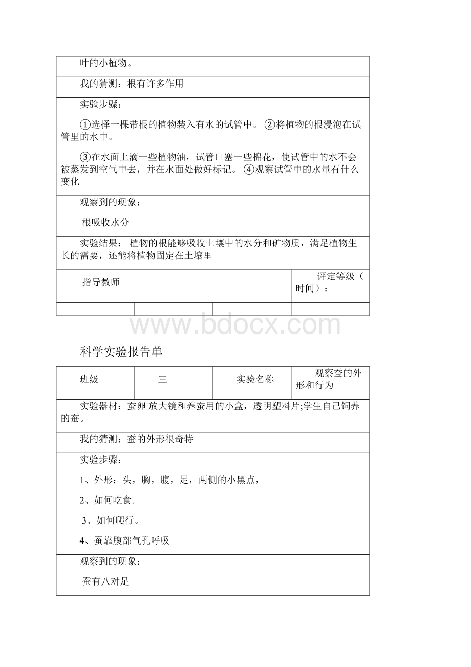 度教科版科学三年级下册实验报告单.docx_第2页