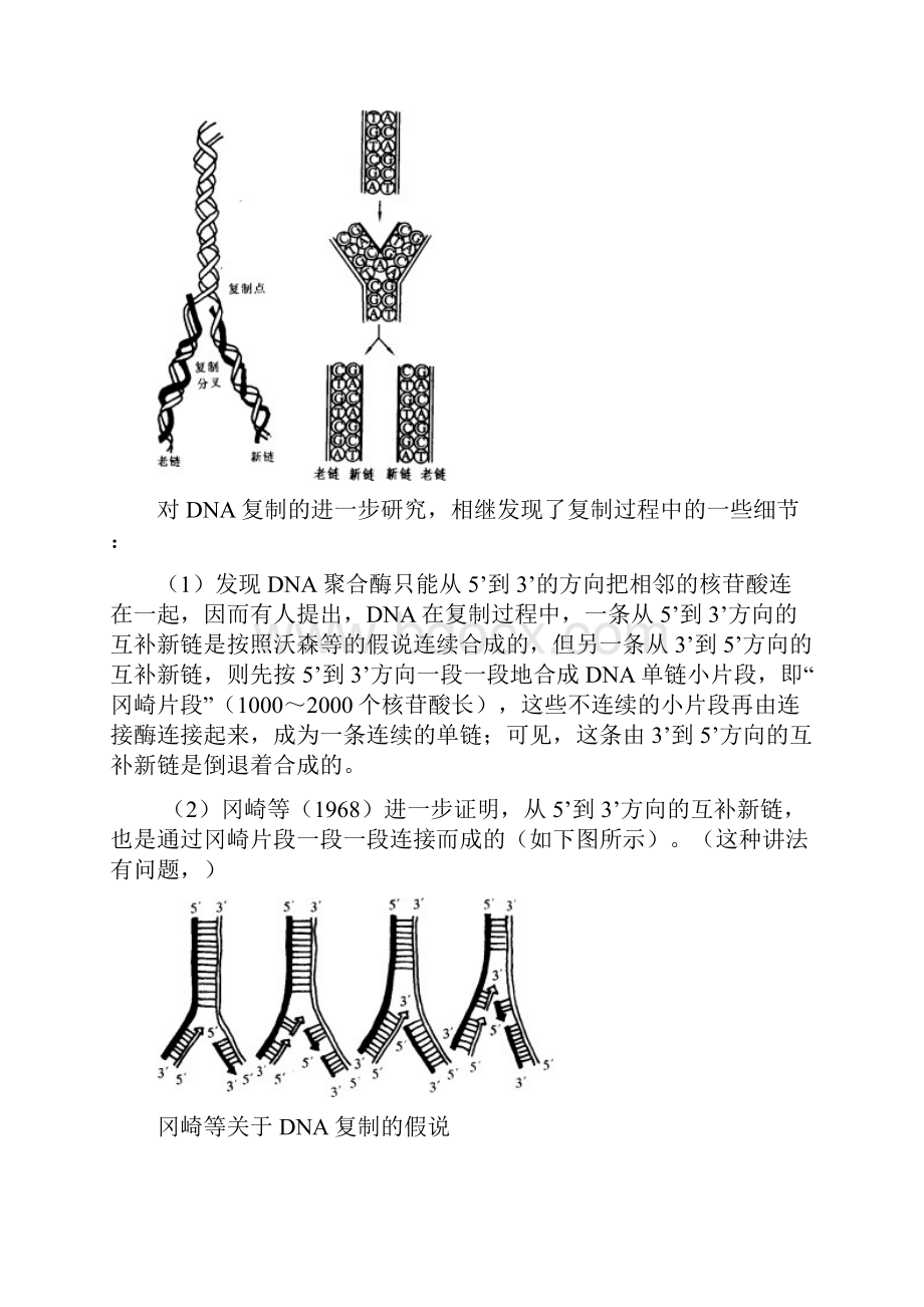 春高中生物第九讲 遗传与进化竞赛辅导讲座含例题解析练习答案.docx_第3页