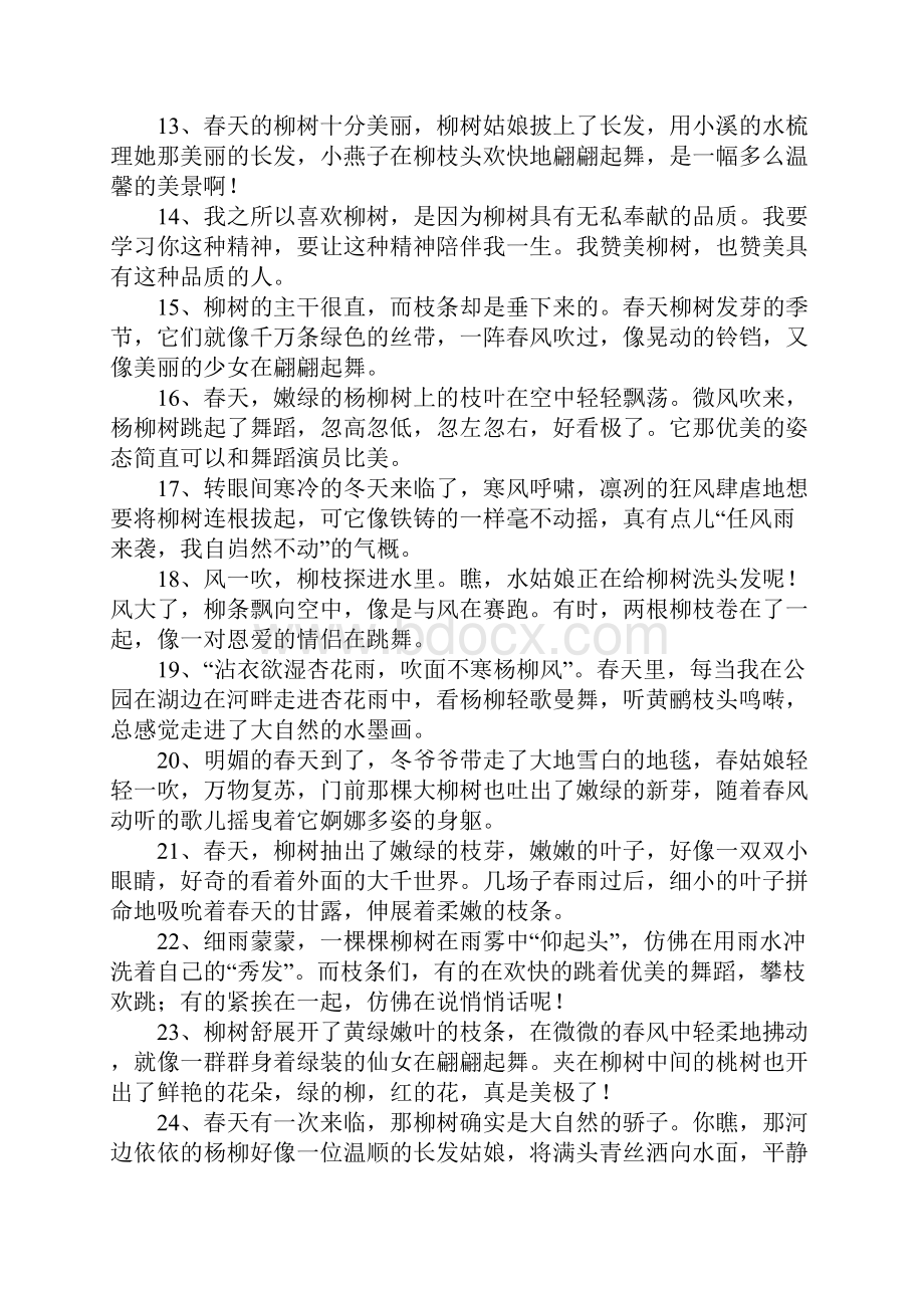 赞美柳树的话.docx_第2页