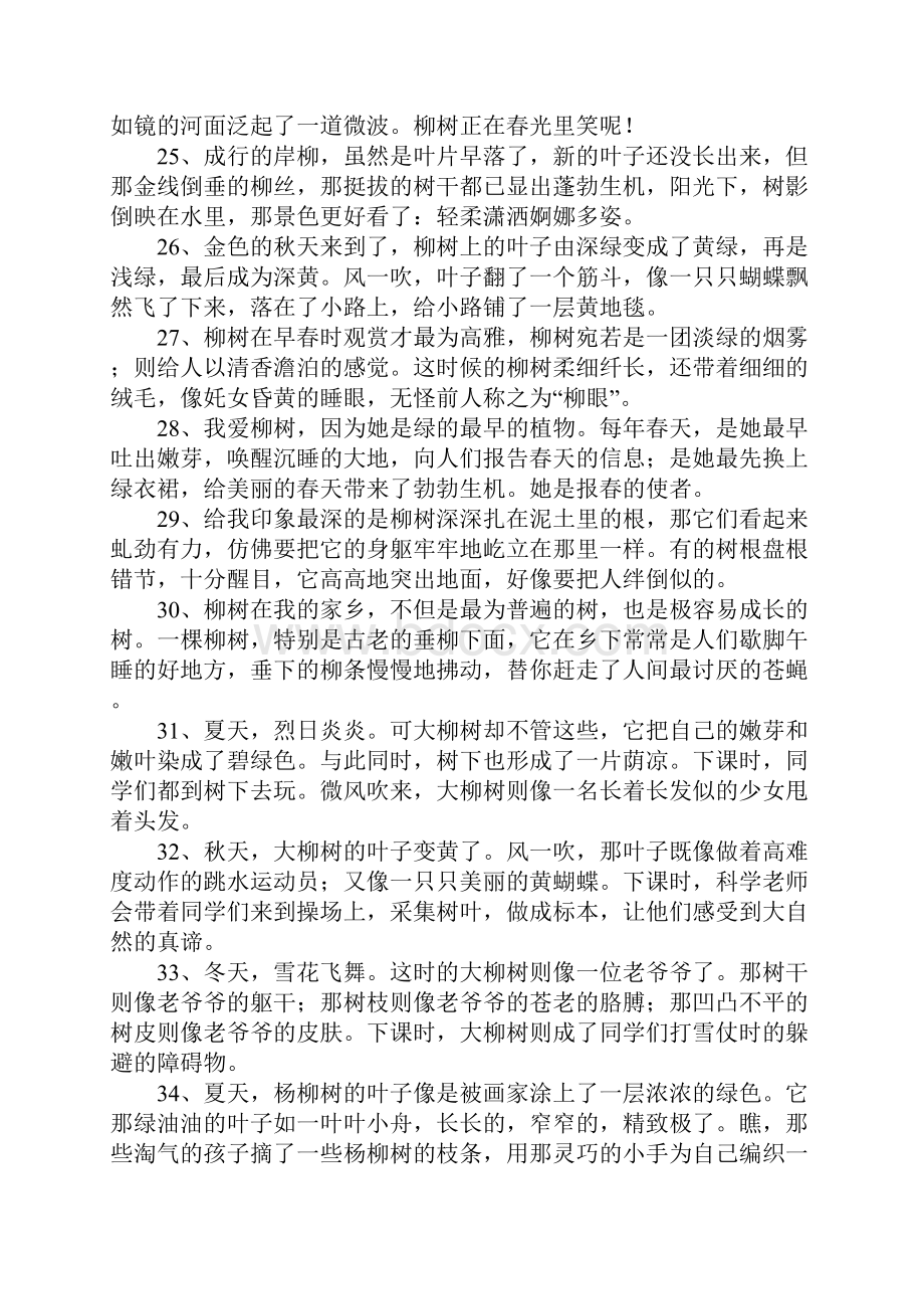 赞美柳树的话.docx_第3页