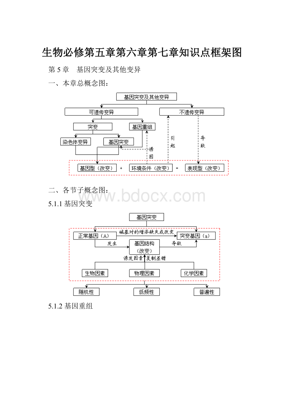 生物必修第五章第六章第七章知识点框架图.docx