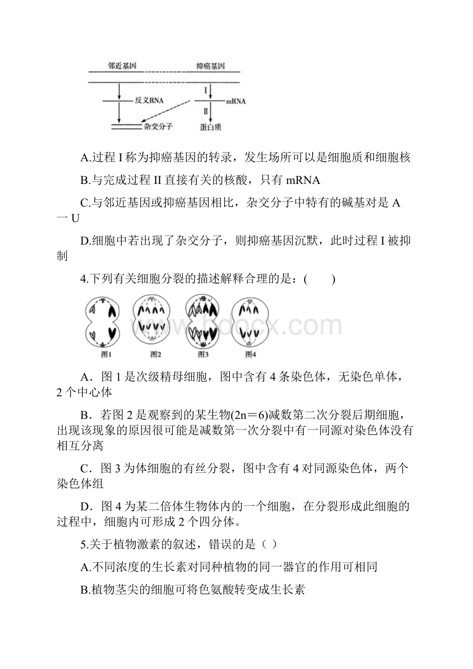 高三第七次考试理综试题 含答案.docx_第2页