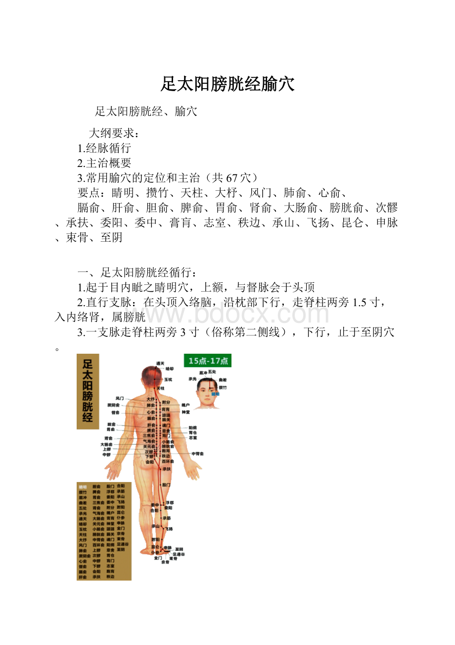 足太阳膀胱经腧穴.docx