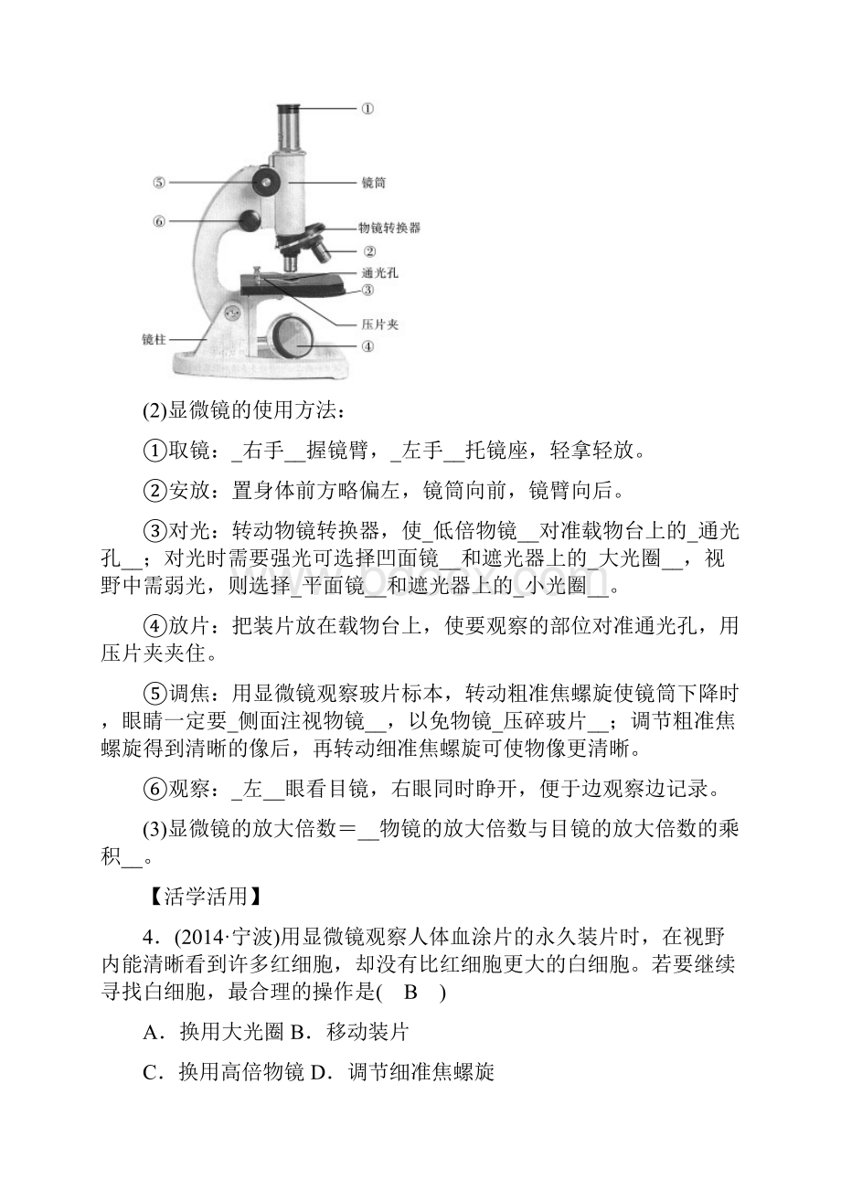 第2讲 各种各样的生物.docx_第3页