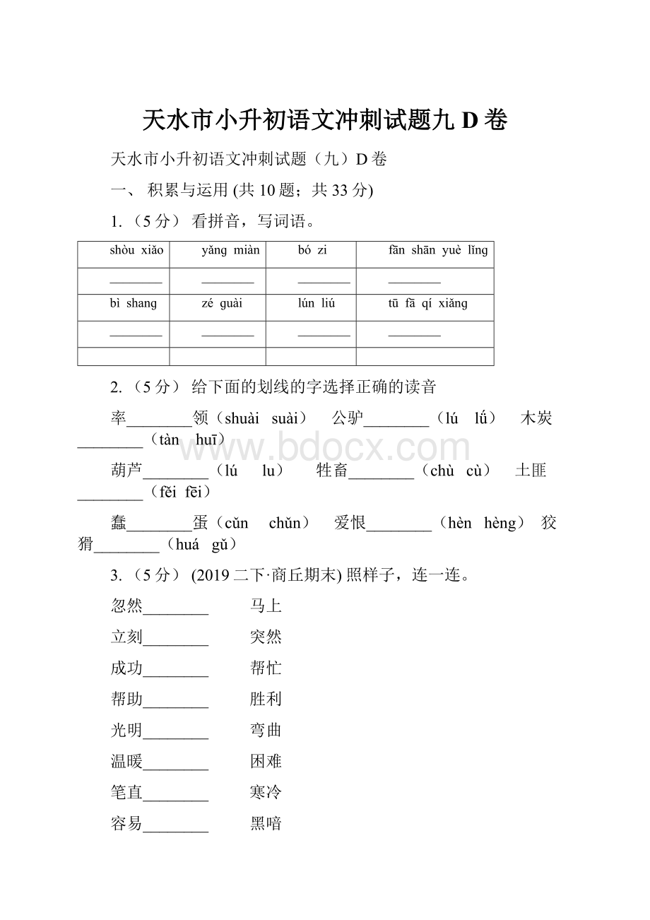 天水市小升初语文冲刺试题九D卷.docx