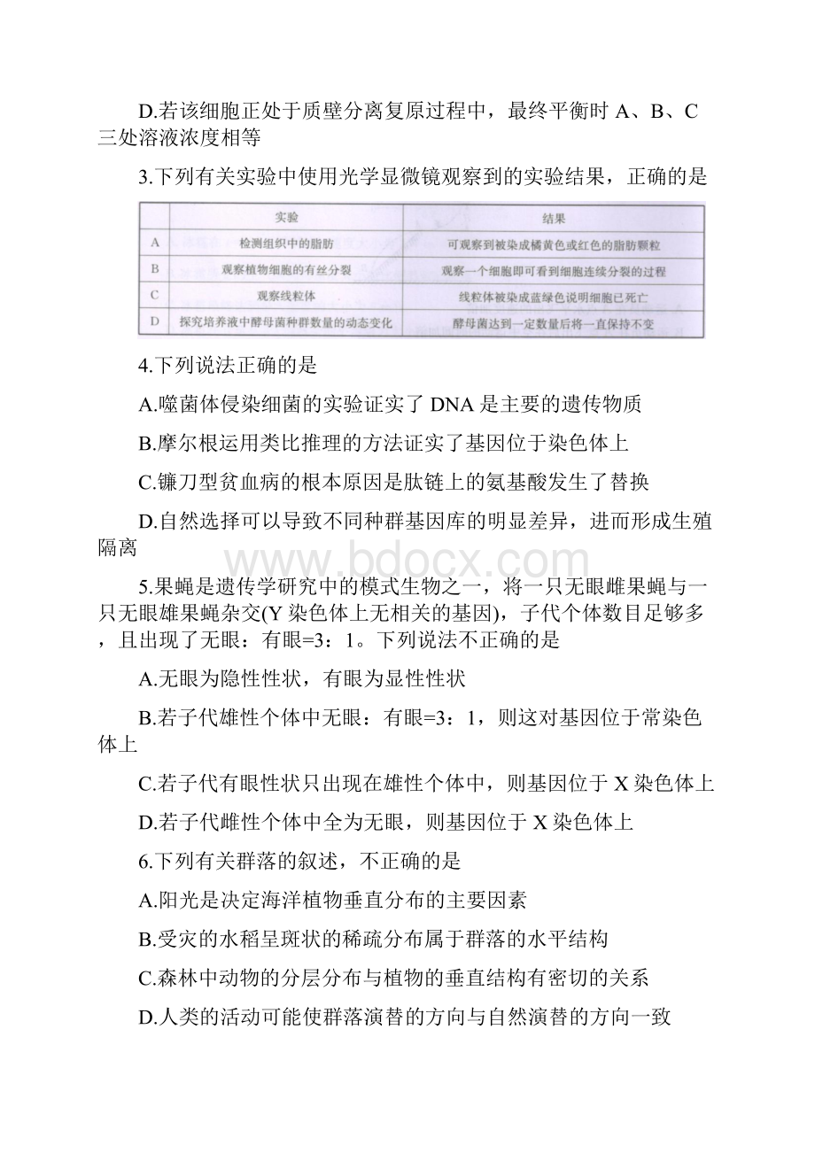 届广西桂林崇左贺州高三下学期联合模拟考试理科综合试题及答案.docx_第2页