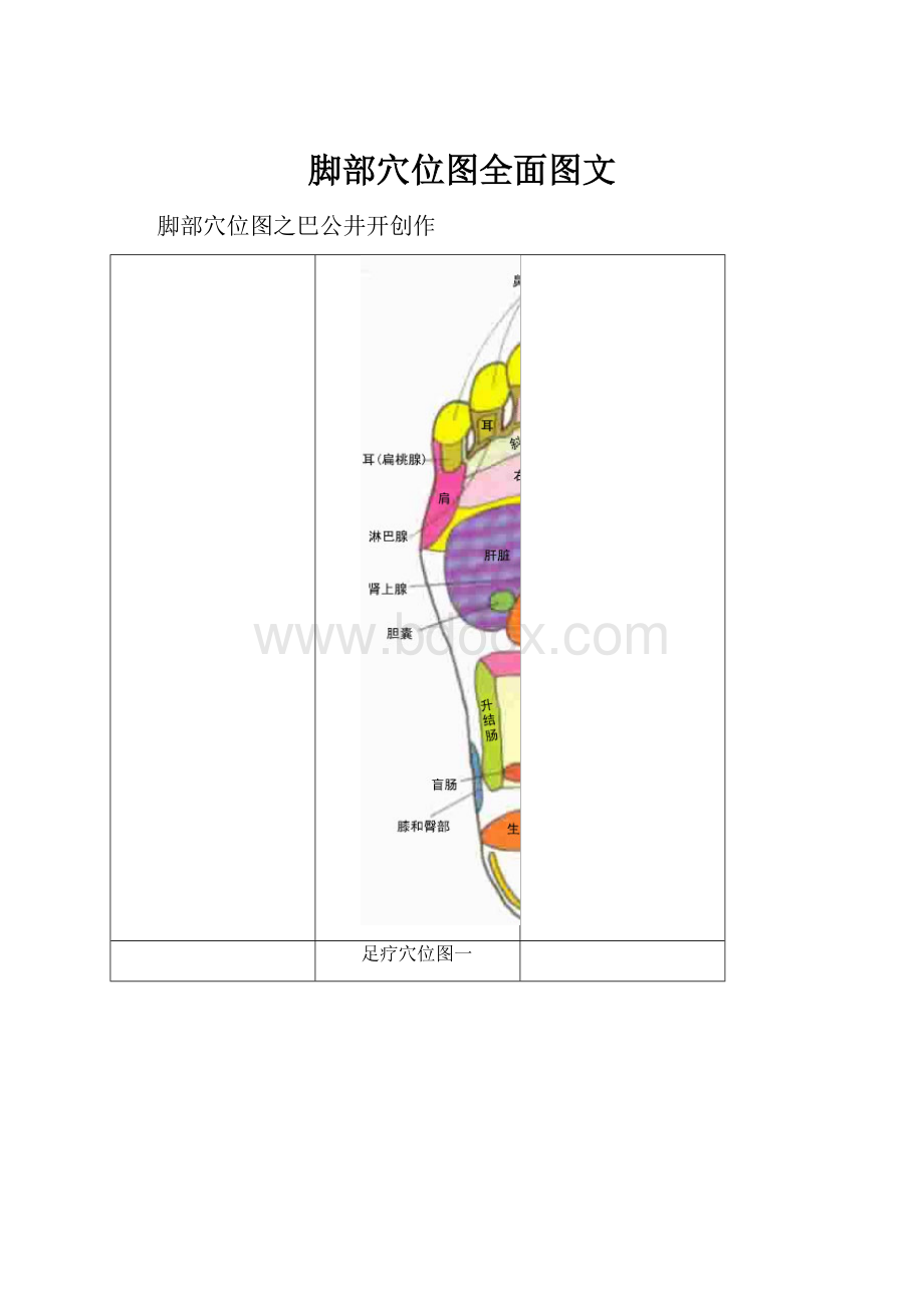 脚部穴位图全面图文.docx_第1页