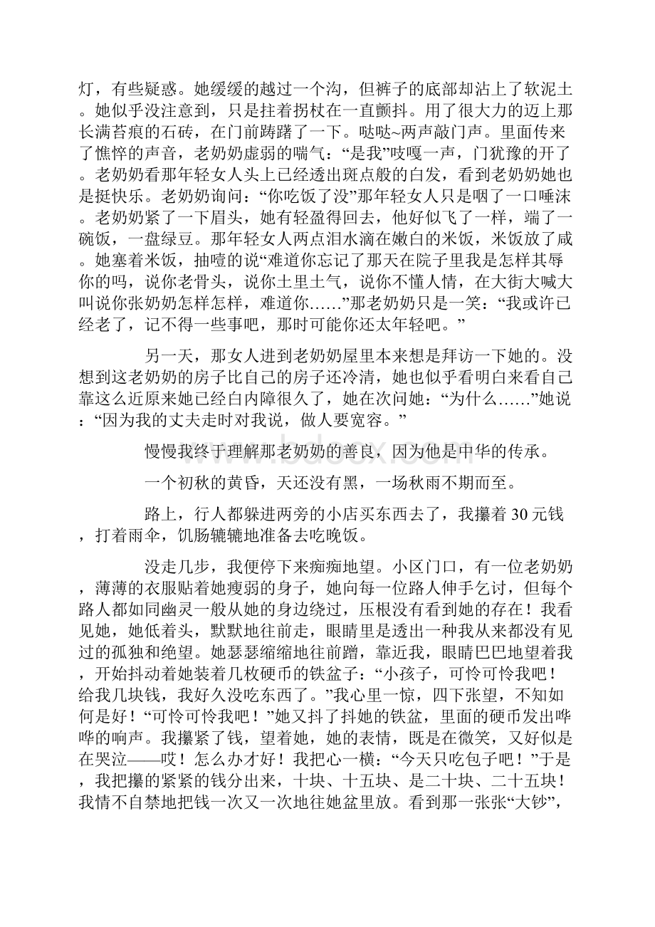 形容老奶奶的作文500字锦集10篇.docx_第3页