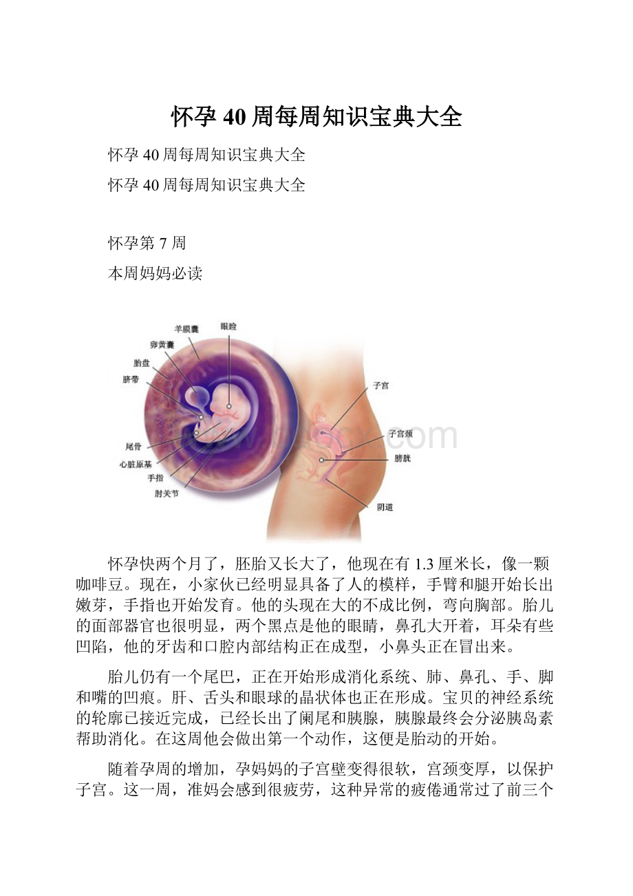 怀孕40周每周知识宝典大全.docx